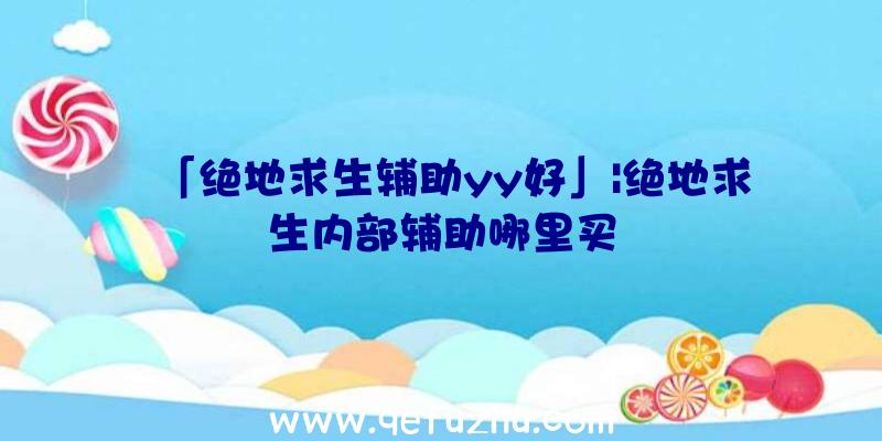 「绝地求生辅助yy好」|绝地求生内部辅助哪里买